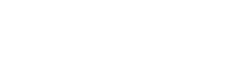 WPS LifeStage Insure